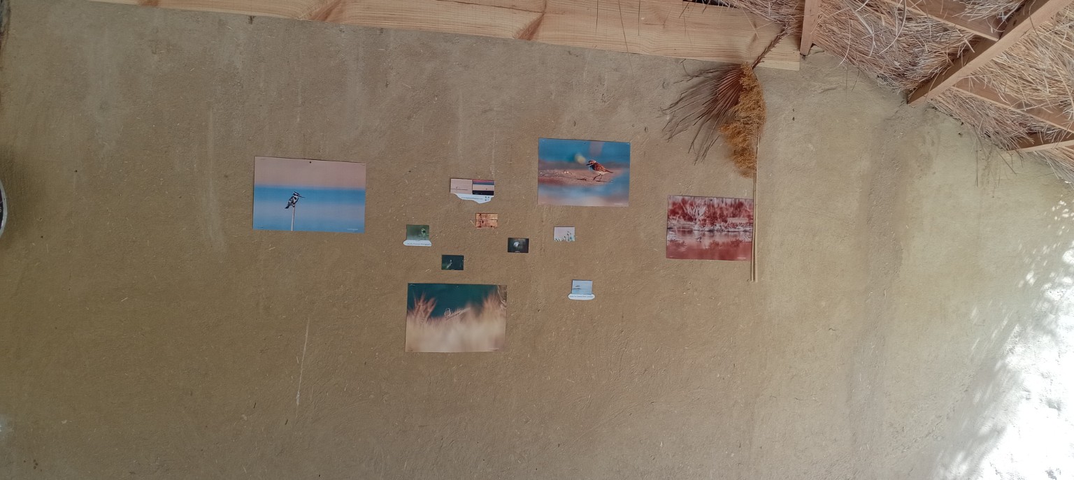Natural wall with wildlife photographs