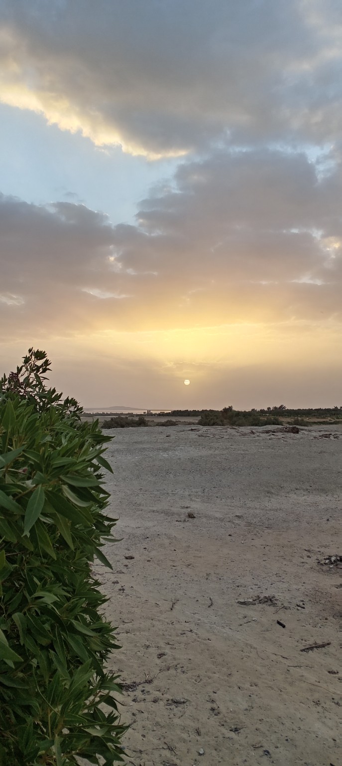 Sunset over the desert